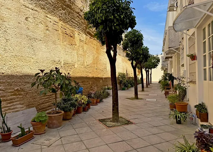 La Muralla - Ole Solutions *